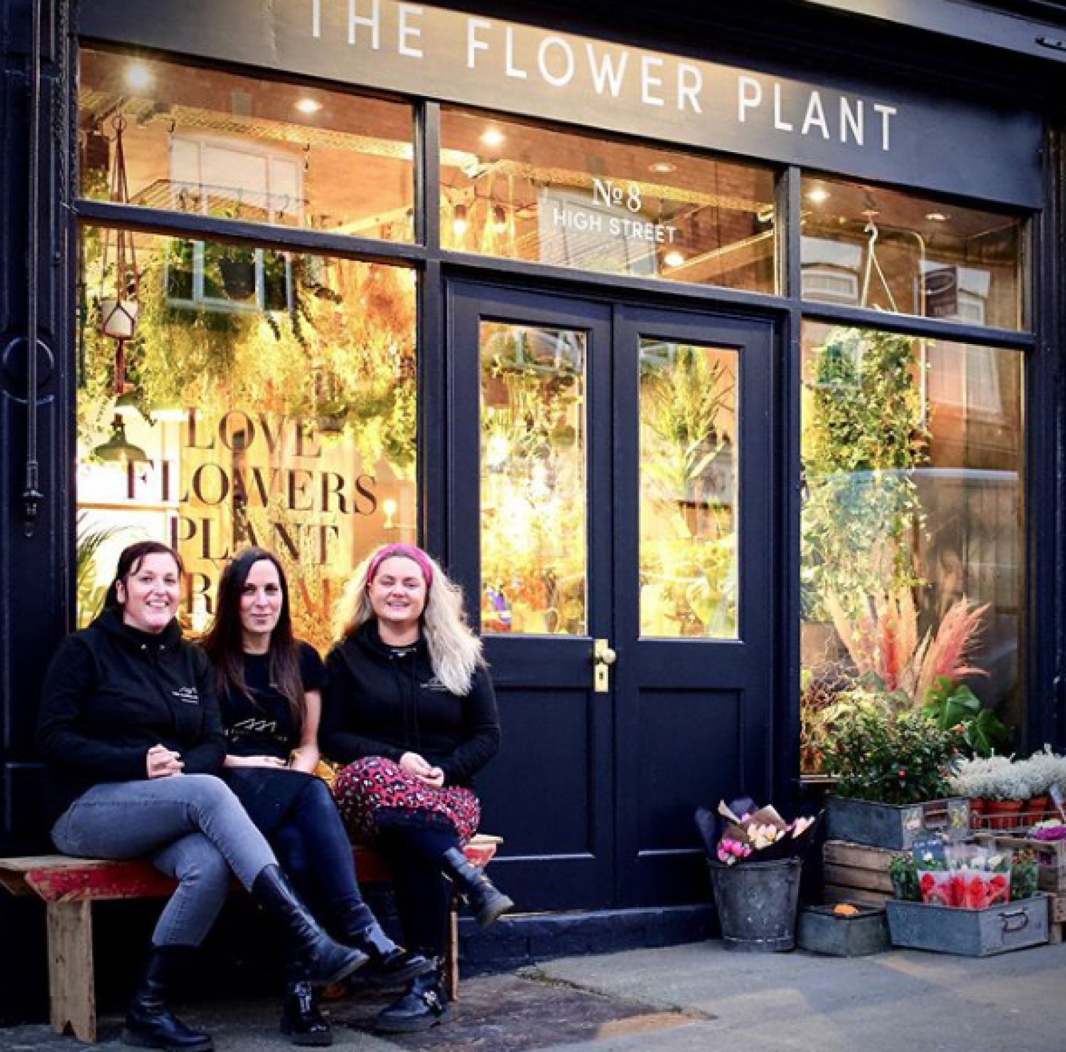 The Flower Plant New Shop