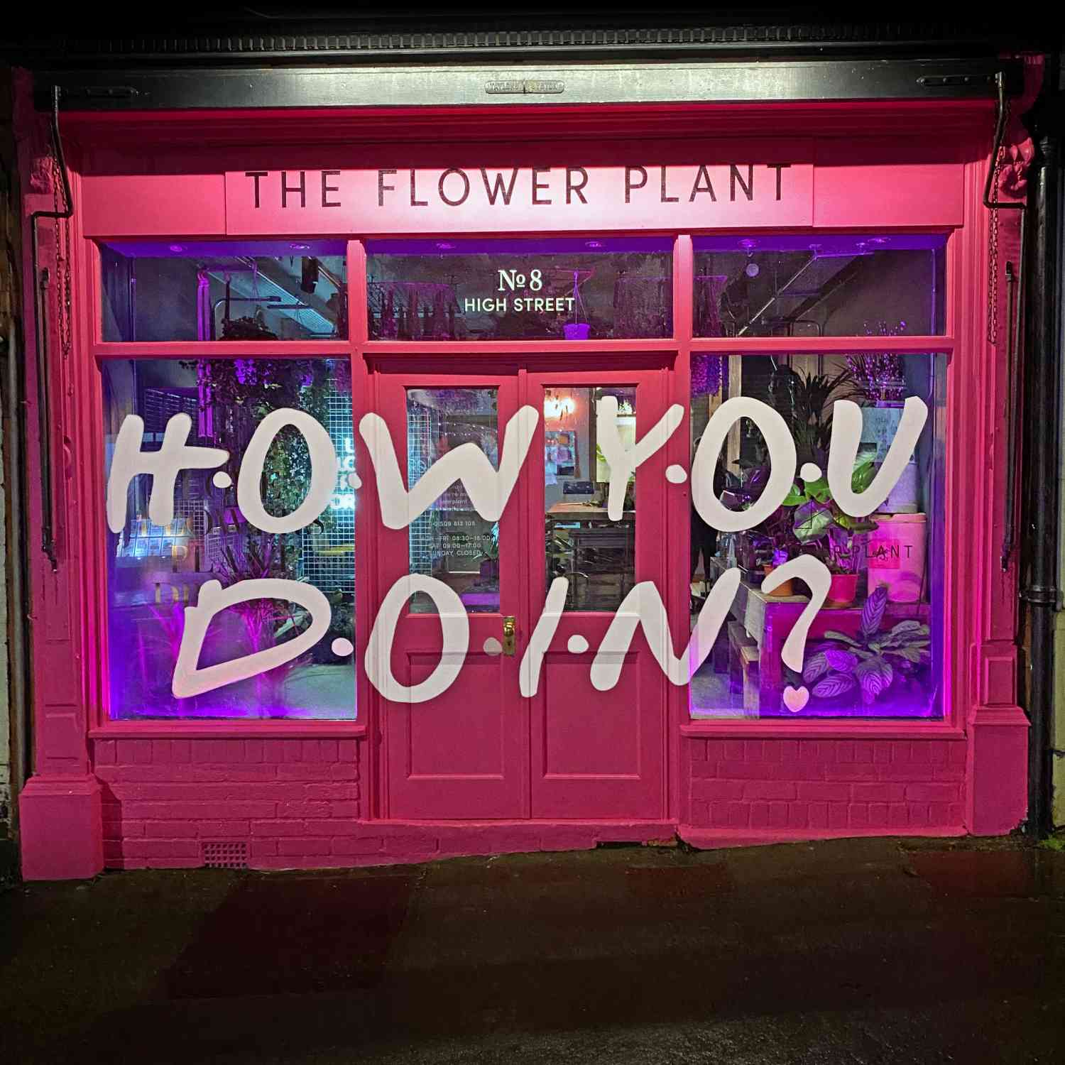 The Flower Plant - Florist - Valentine's Day Window - 2021