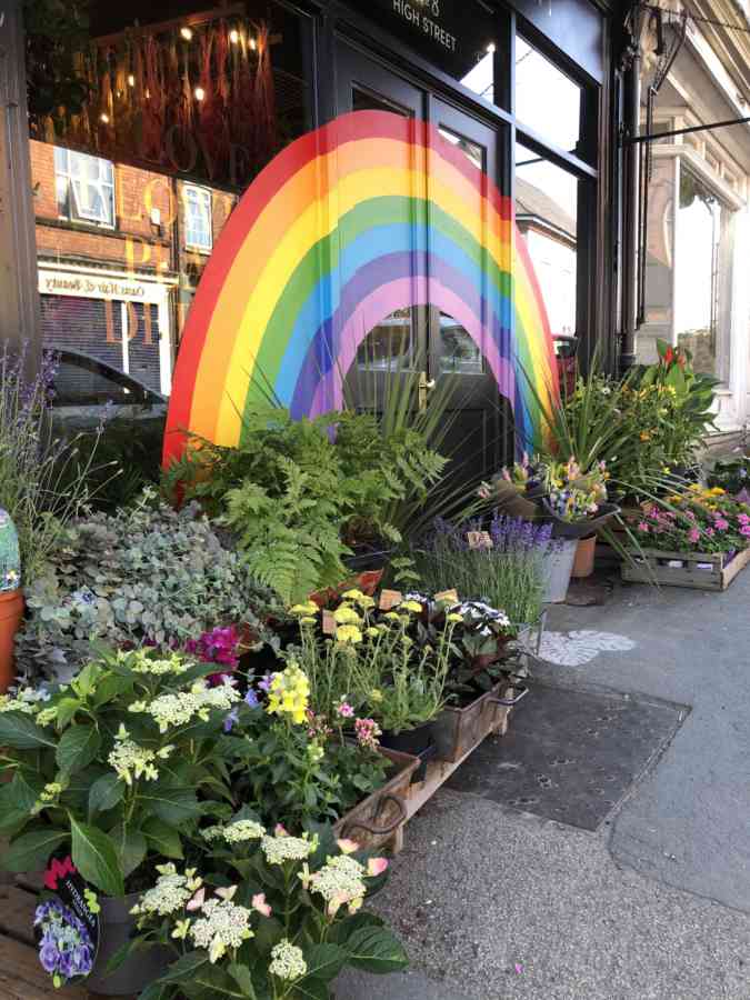 Leicestershire Florist The Flower Plant