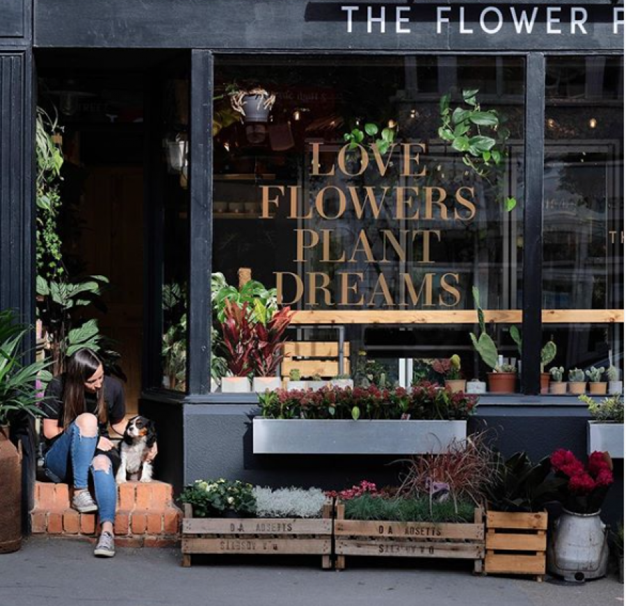 The Flower Plant First Shop