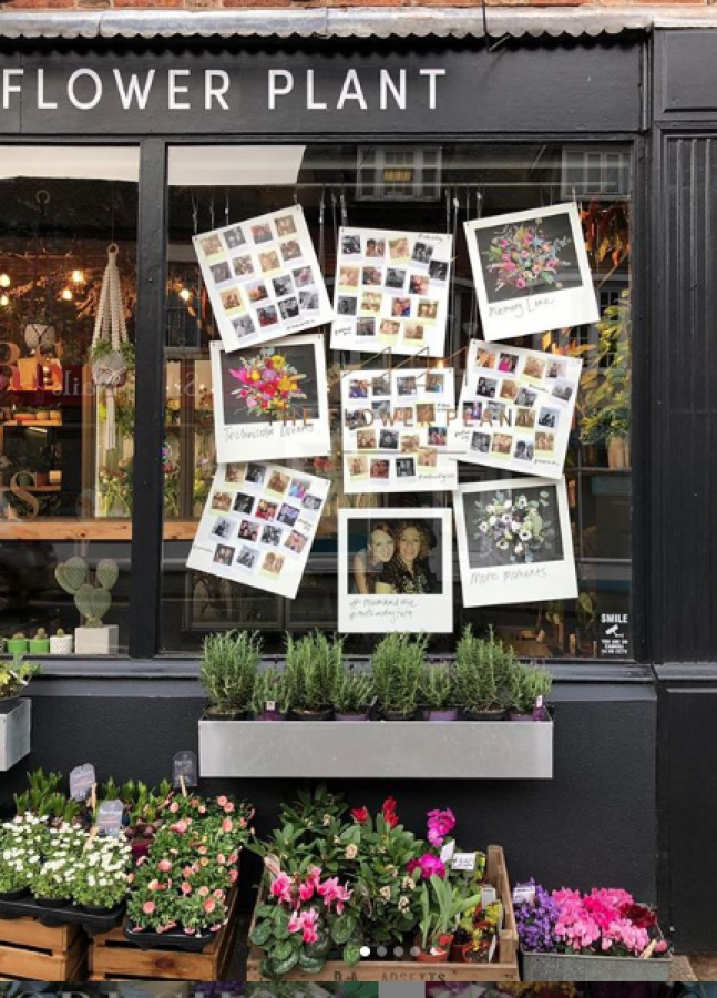 The Flower Plant Polaroid Display