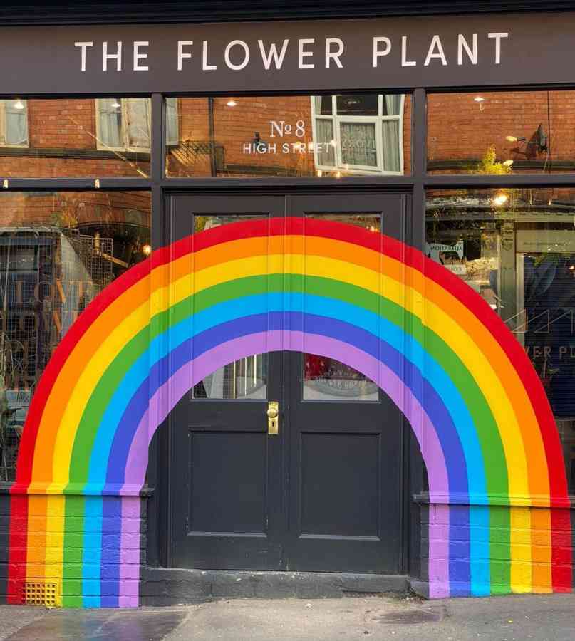 The Rainbow Plant Rainbow