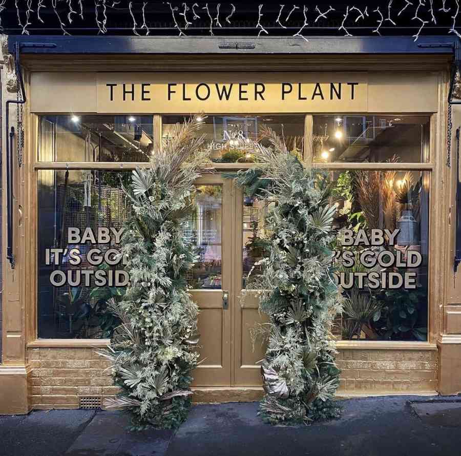 Florist shopfront winter window display baby its cold 2020 the flower plant