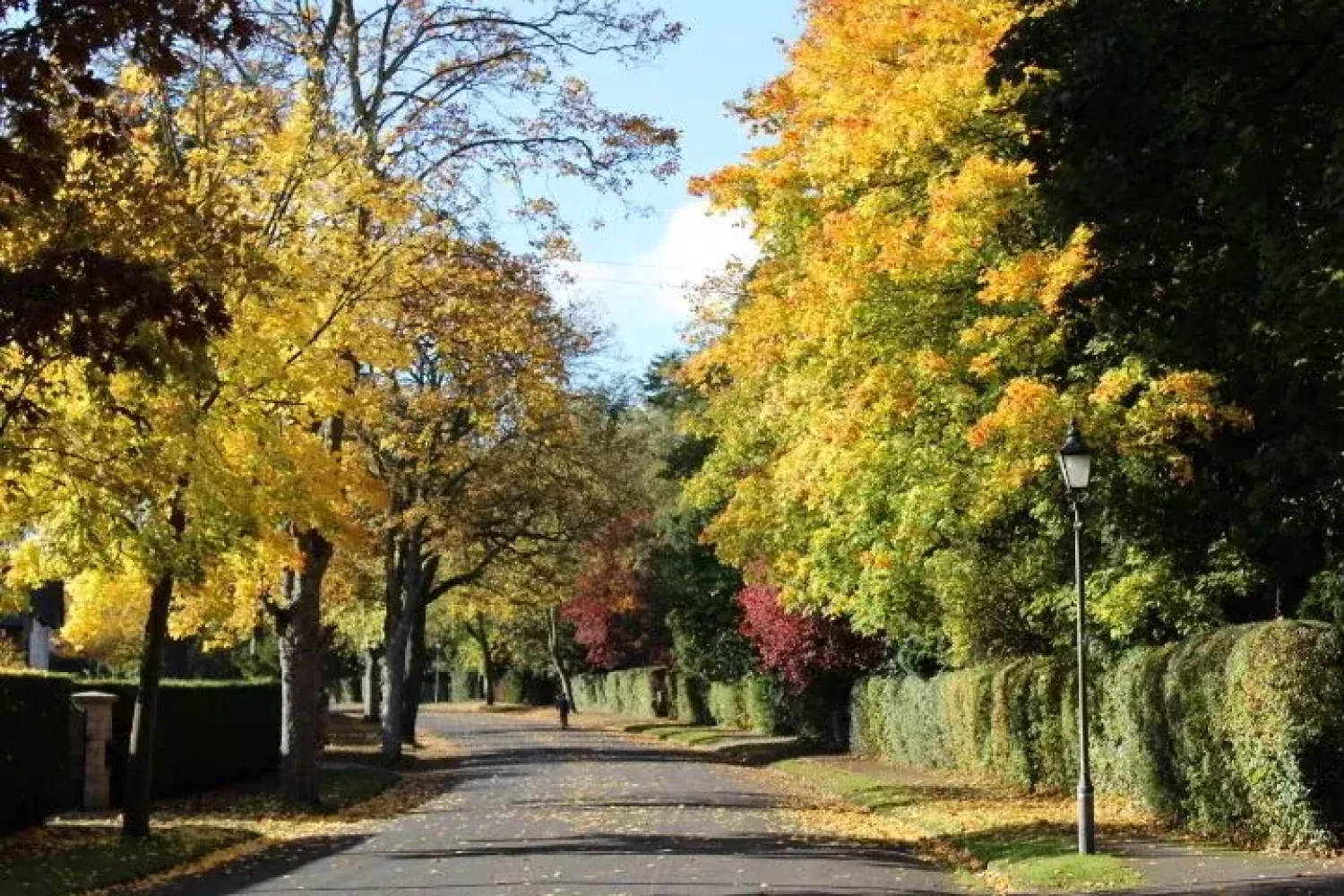 Rothley jpg
