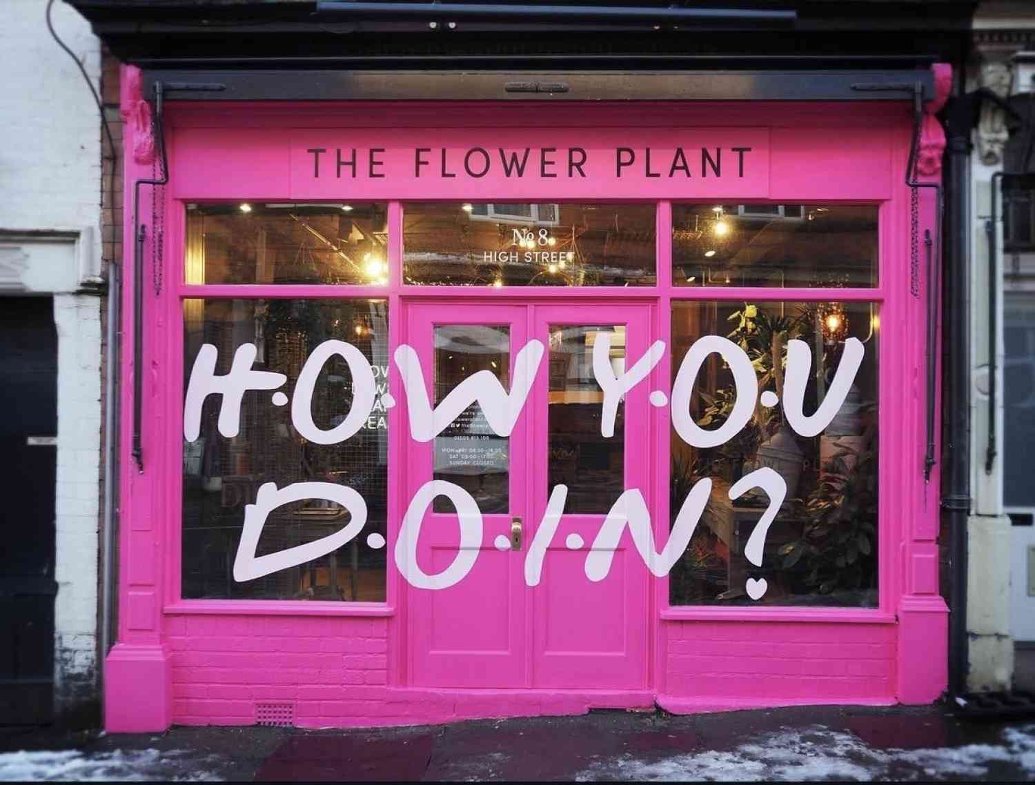 Florist shopfront how you doin friends the flower plant