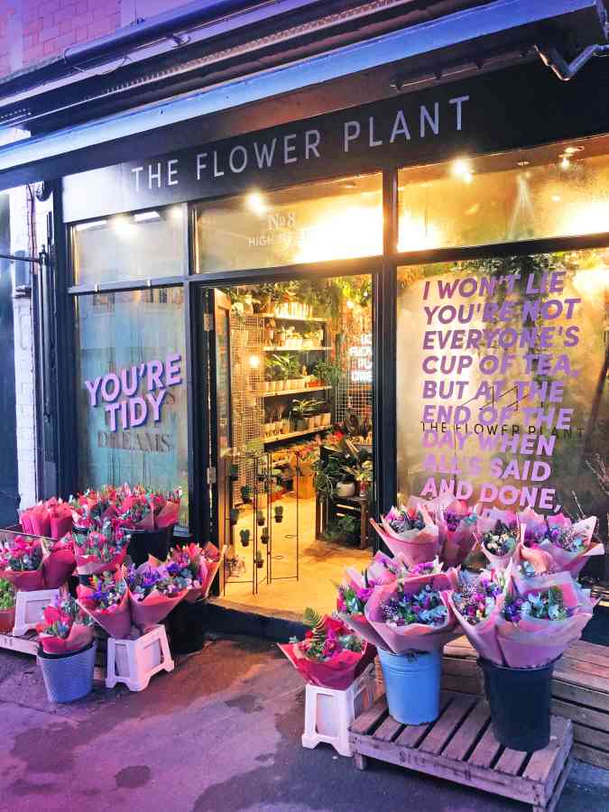 The flower plant valentines