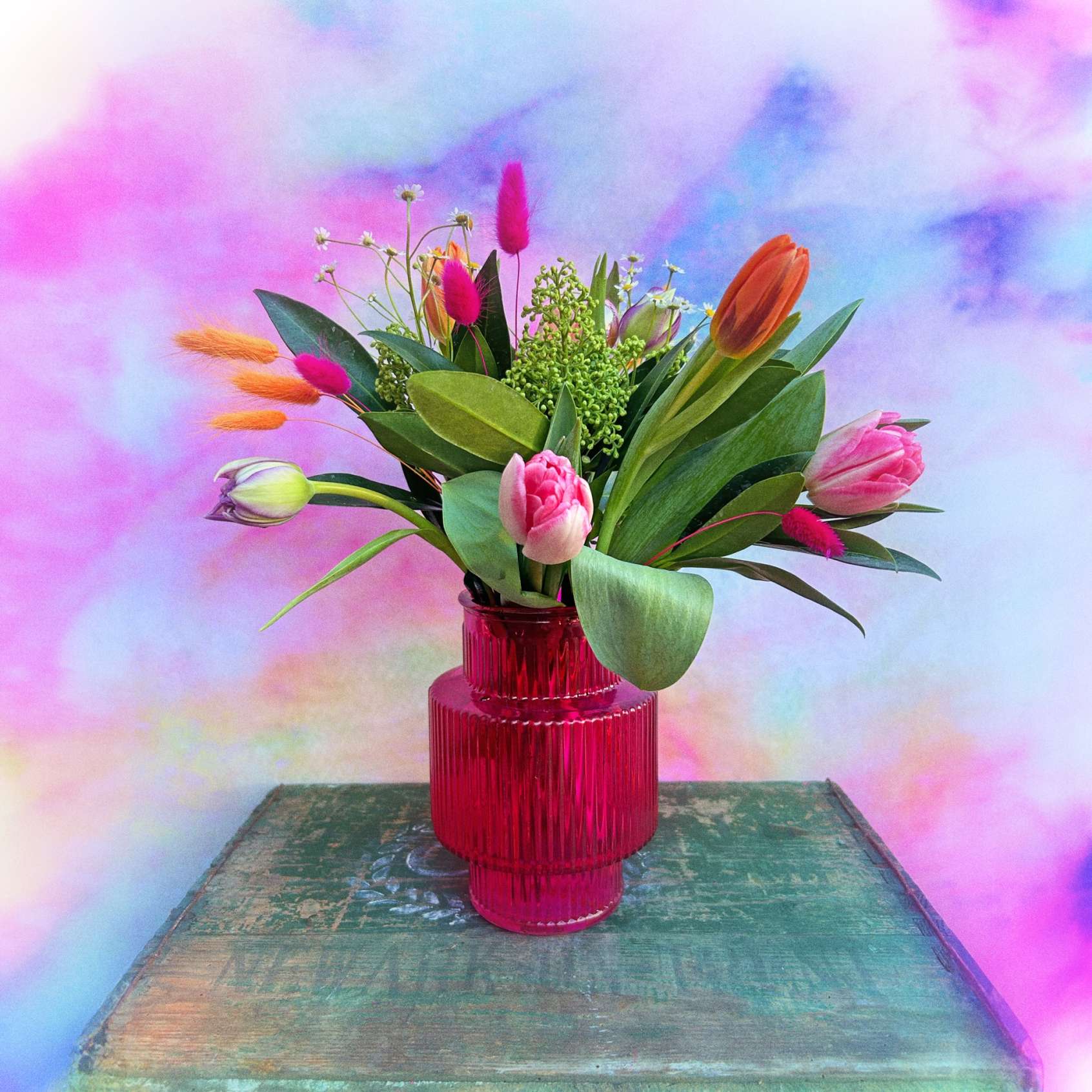 Tulips in vase