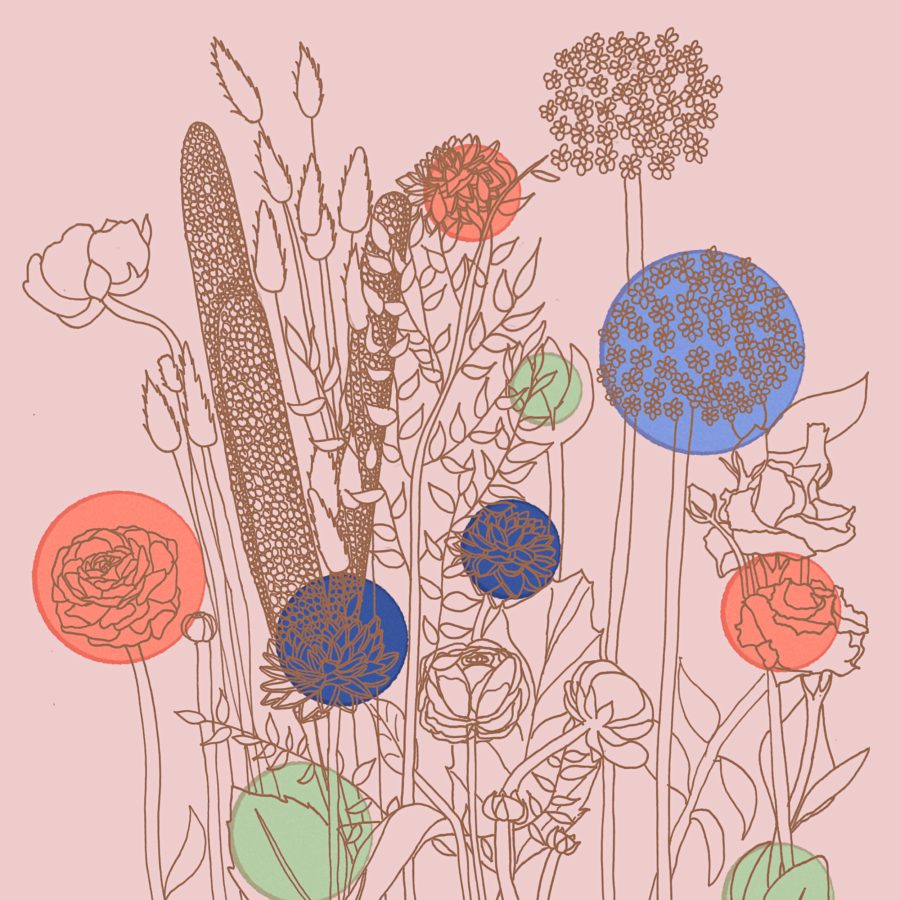 Florists choice illustration