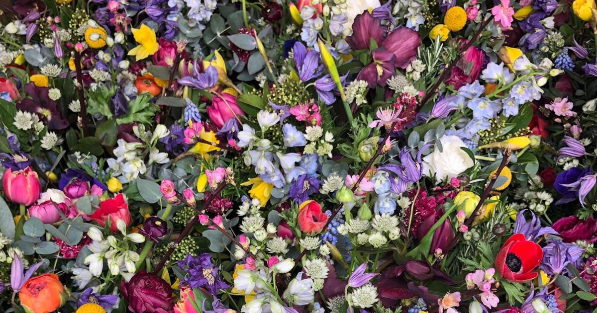 Leicestershire Florist The Flower Plant