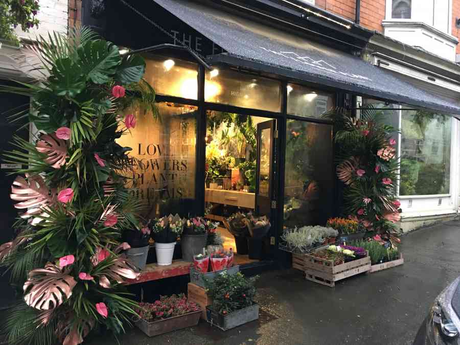 Leicestershire Florist The Flower Plant